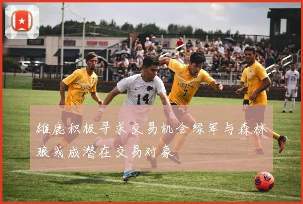 雄鹿积极寻求交易机会绿军与森林狼或成潜在交易对象