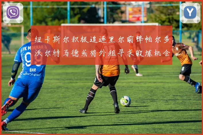 纽卡斯尔积极追逐里尔前锋帕尔多沃尔特马德或将外租寻求锻炼机会